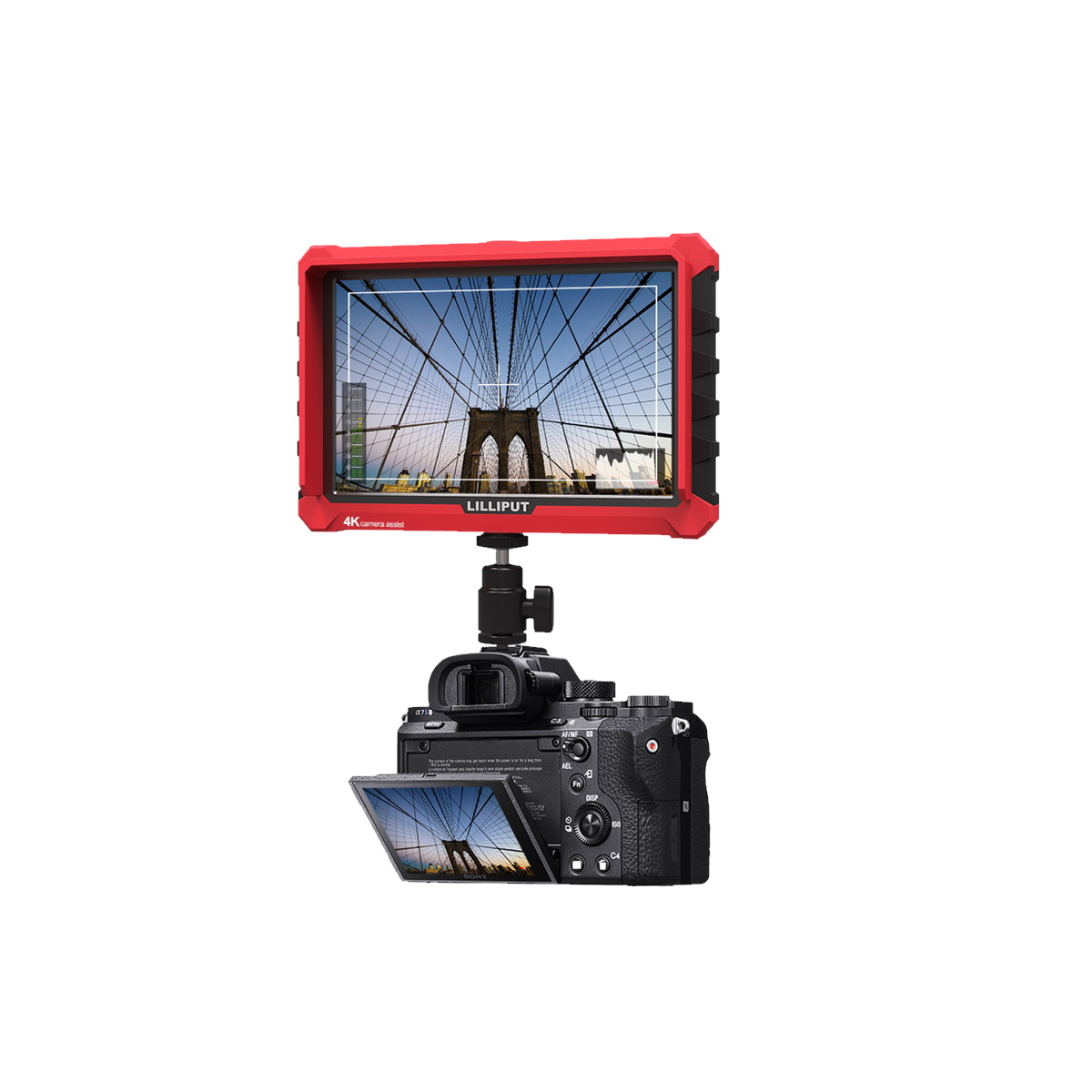 Next Product Image